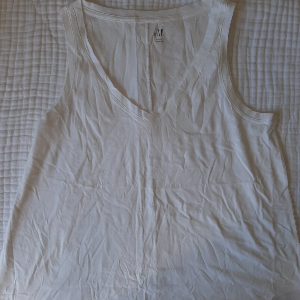 Gap vintage swing tank